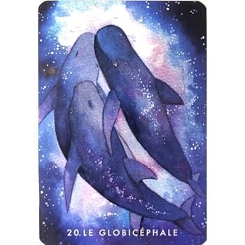 【正規品オラクルカード】水彩画の美麗イラスト✨イルカやクジラに会える海のデッキ Amazon.co.jp: 入手困難水彩画の美麗デッキイルカやクジラに